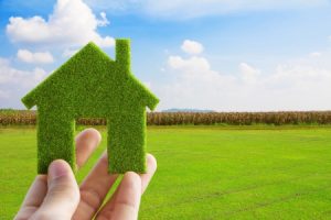 Green Practices to Consider in your Home or Building